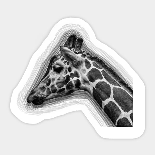 Giraffe Drawing Sticker by allnation